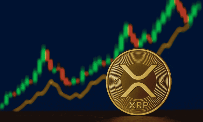 XRP’s Price Is Up Today